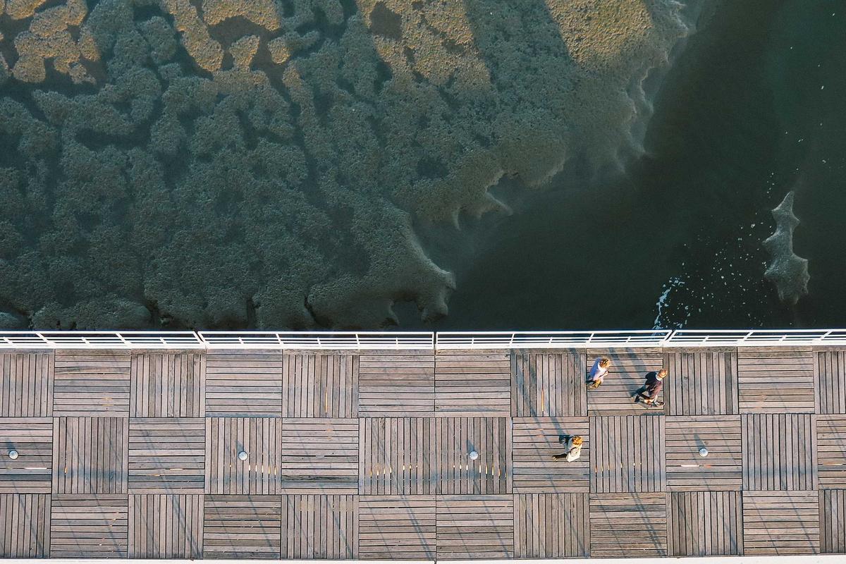 6 Fitur Baru Galaxy A57 5G & Galaxy A37 5G: AI Makin Pintar, Kamera Lebih Jernih, Performa Ngebut