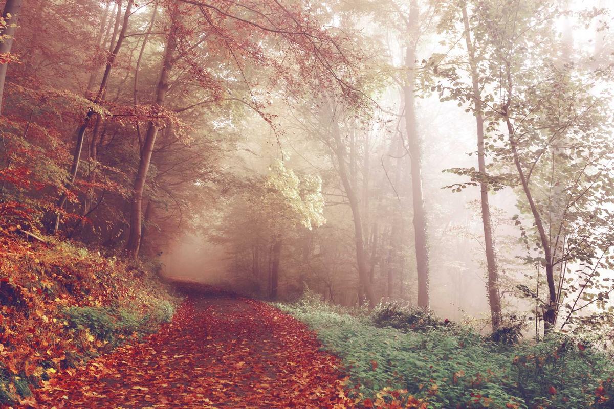 9 Smartphone Baru yang Bakal Rilis Bulan Ini