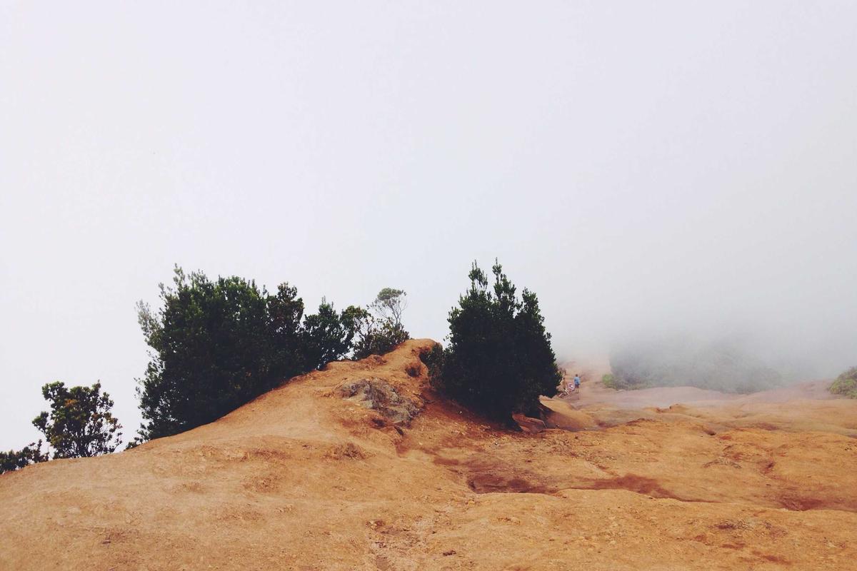 Inilah Alasan ASUS Berhenti Merilis Smartphone Baru