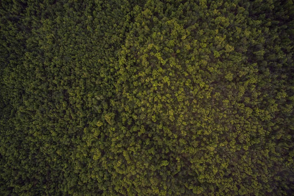 Xiaomi Siapkan Tiga HP Redmi Baru dengan Baterai 10.000 mAh