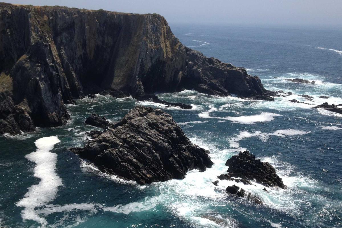 10 Hp Samsung Terbaik 2026: Rilisan Terbaru & Fitur AI Lengkap