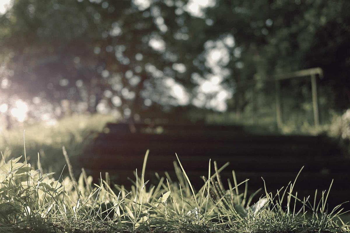 10 Hp Samsung Terbaik 2026: Rilisan Terbaru & Fitur AI Lengkap