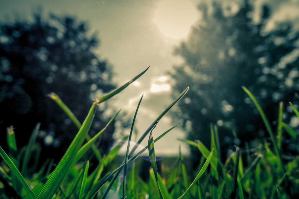 10 Hp Samsung Terbaik 2026: Rilisan Terbaru & Fitur AI Lengkap